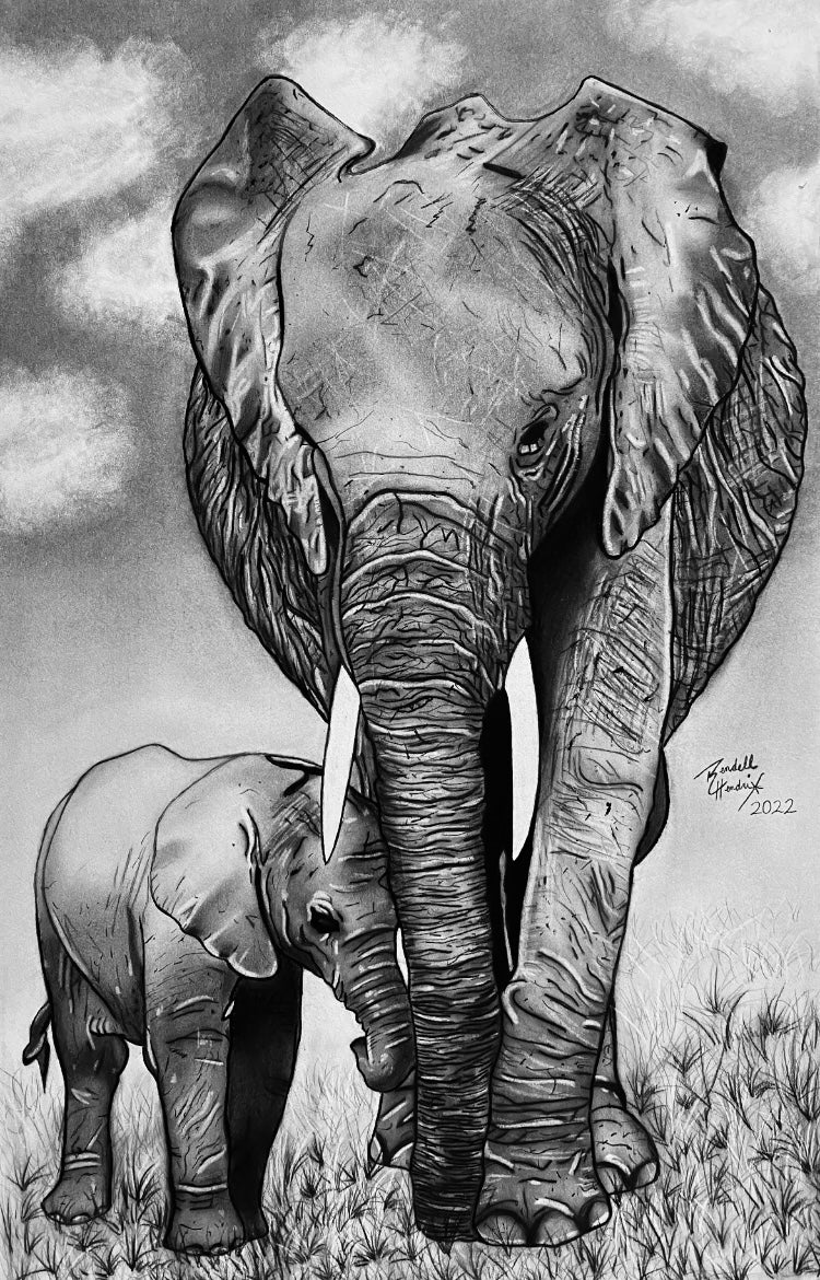 Elephant Family Art Print (from original drawing)