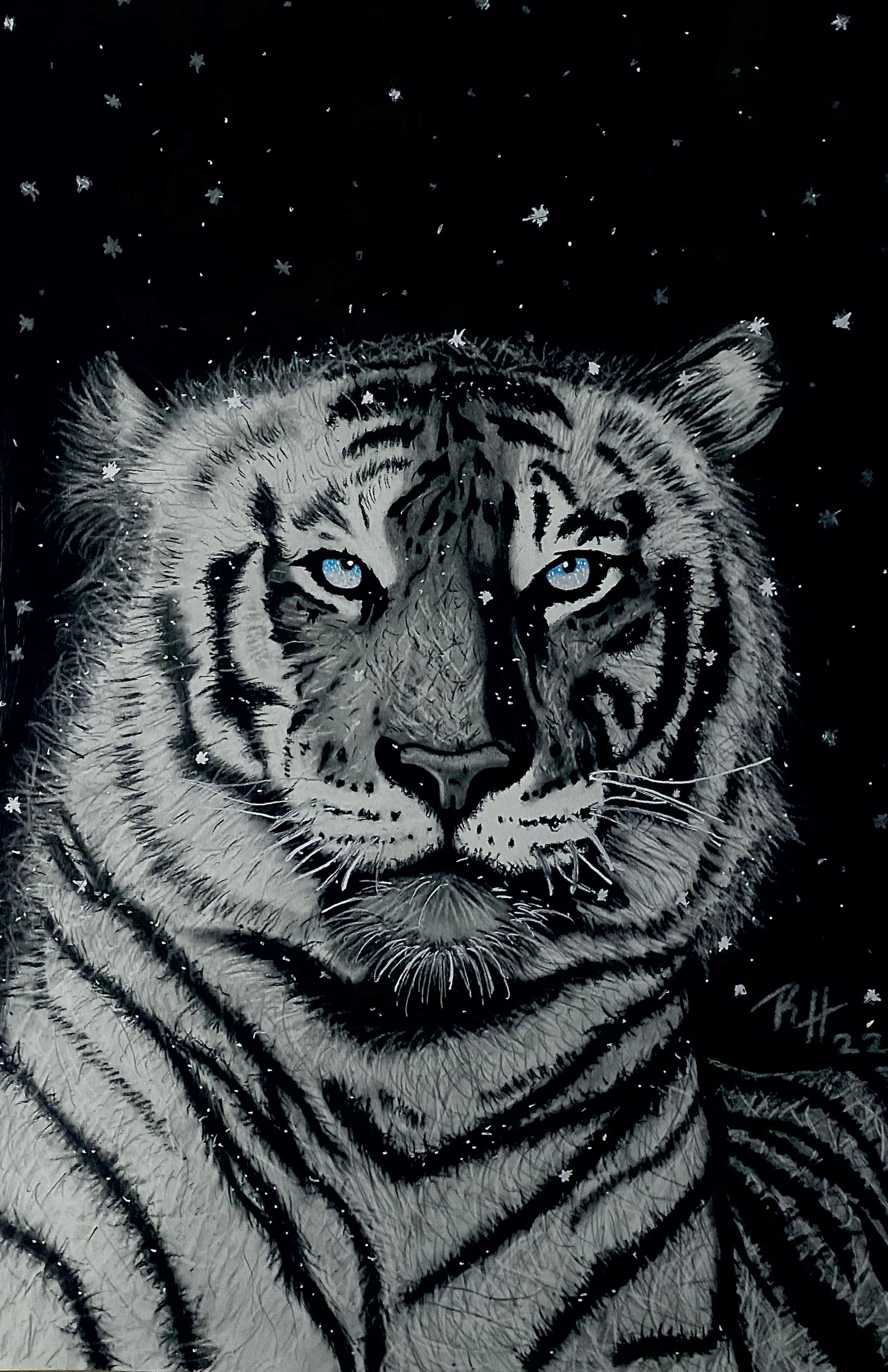 White Bengal Tiger In The Snow Art Print (from original drawing)